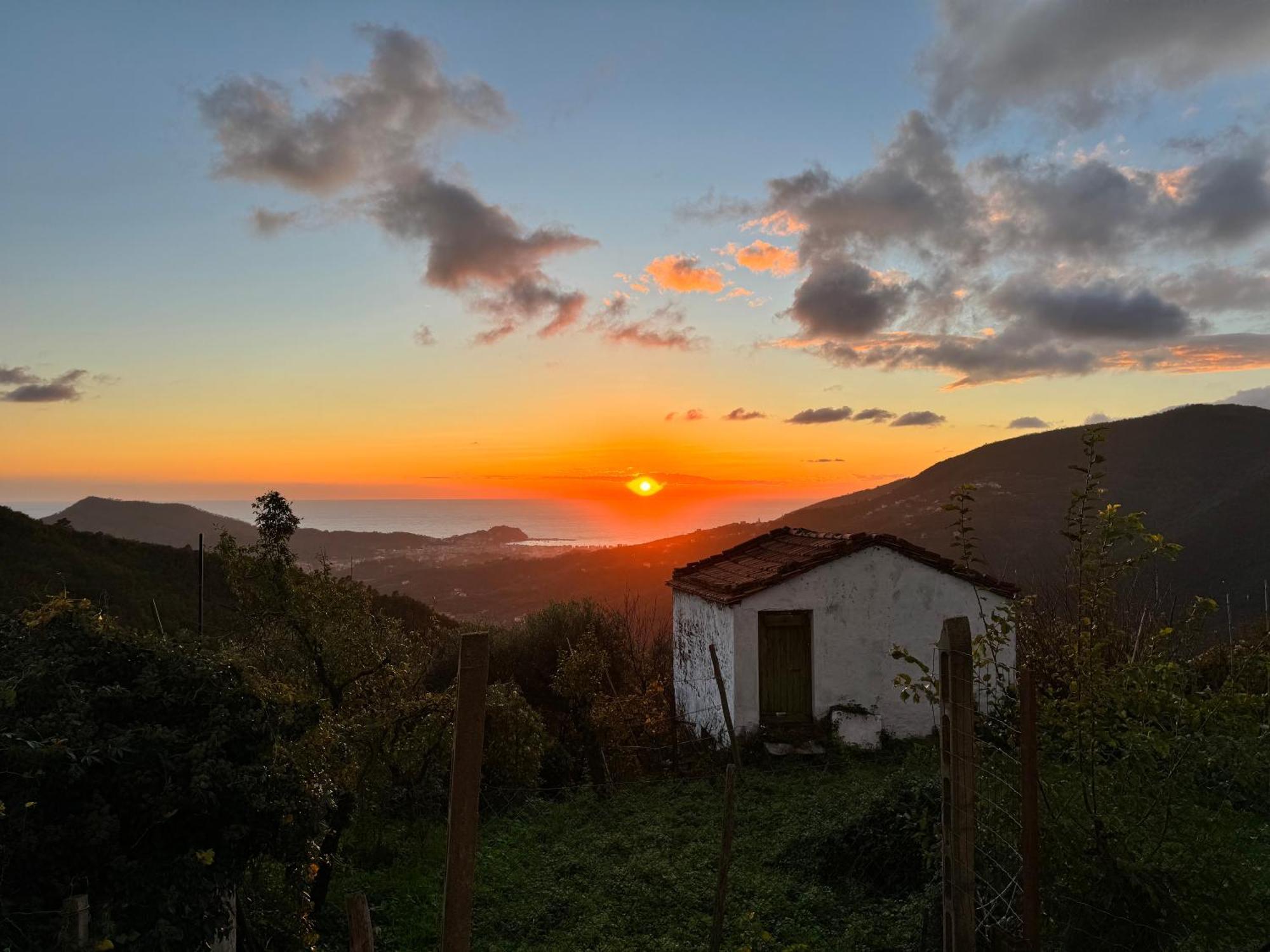 La Collina Sul Mare - Casa Vacanze セストリ・レヴァンテ エクステリア 写真