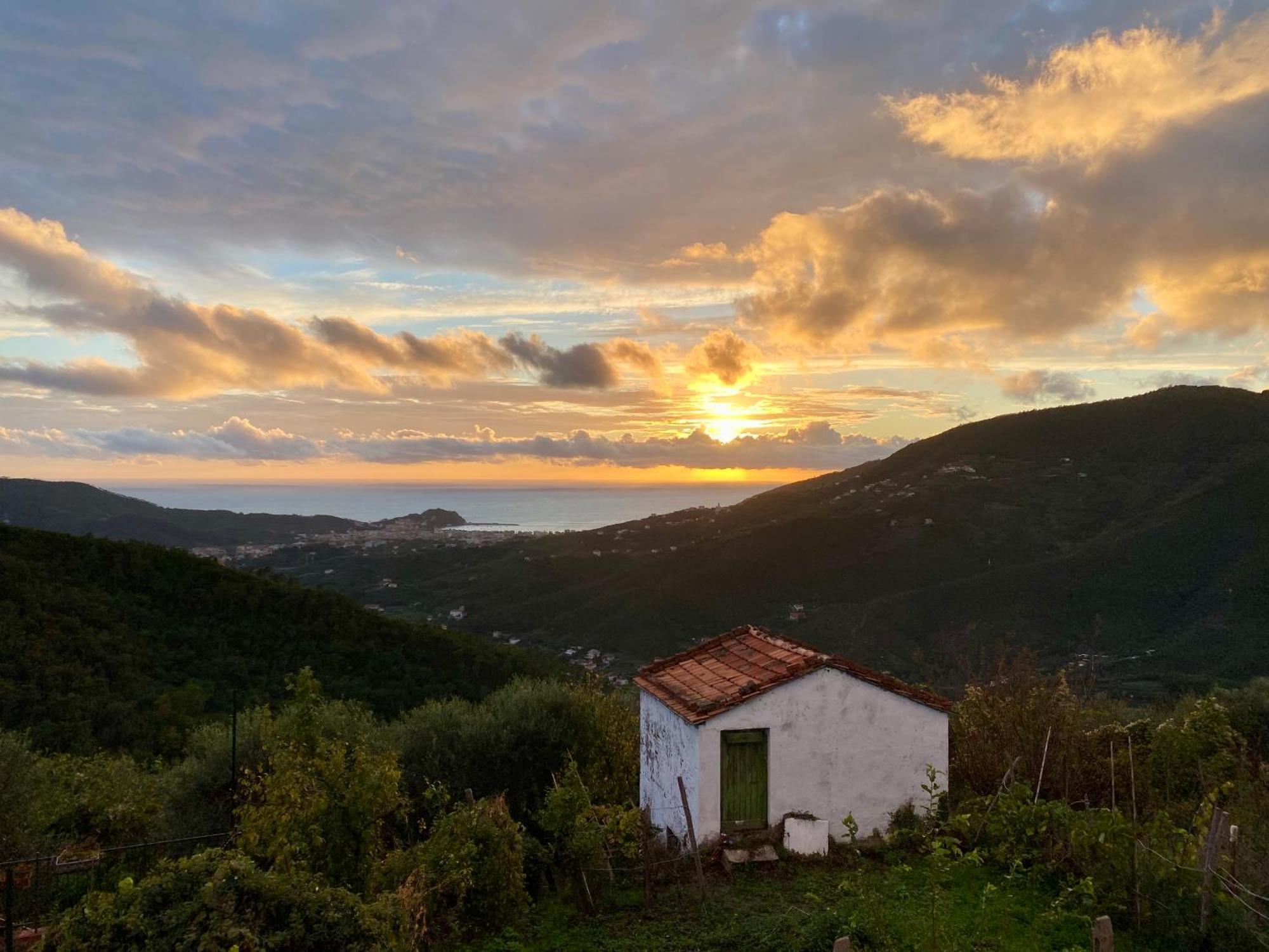 La Collina Sul Mare - Casa Vacanze セストリ・レヴァンテ エクステリア 写真